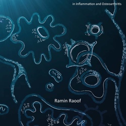 Thesis defense Ramin Raoof