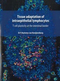 Thesis cover: Tissue adaptation of intraepithelial lymphocytes