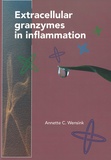 Thesis cover: Extracellular granzymes in inflammation