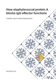 Thesis cover: How staphylococcal protein A blocks IgG effector functions
