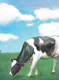 Thesis cover: Improving udder health management in dairy herds with automatic milking systems