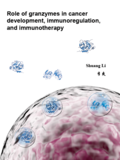 Thesis cover: Role of granzymes in cancer development, immunoregulation, and immunotherapy