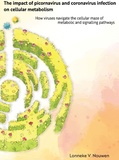 Thesis cover: The impact of picornavirus and coronavirus infection on cellular metabolism
